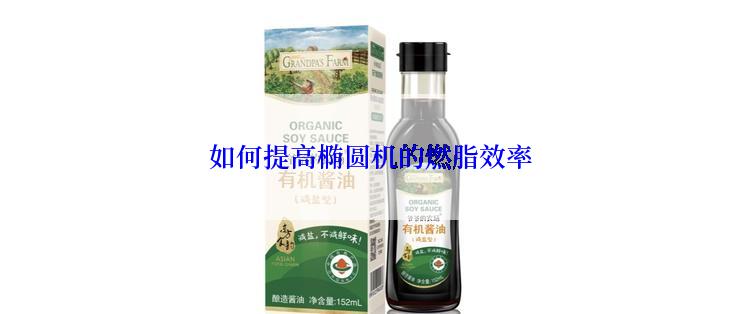 如何提高椭圆机的燃脂效率