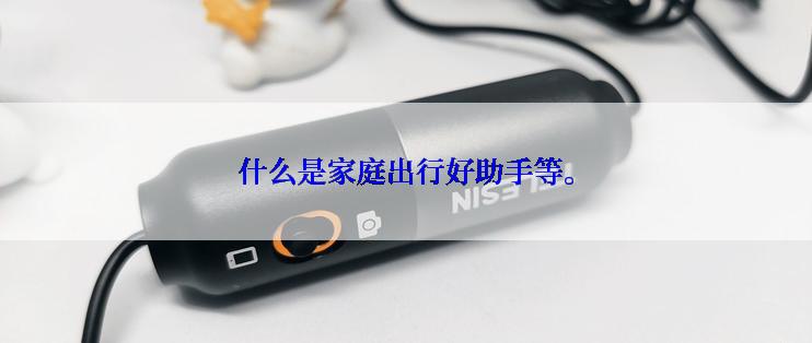 什么是家庭出行好助手等。