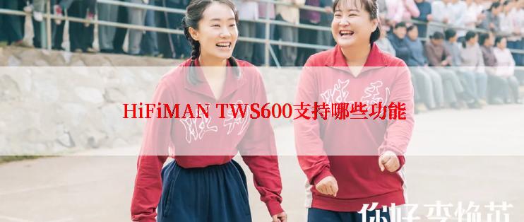  HiFiMAN TWS600支持哪些功能