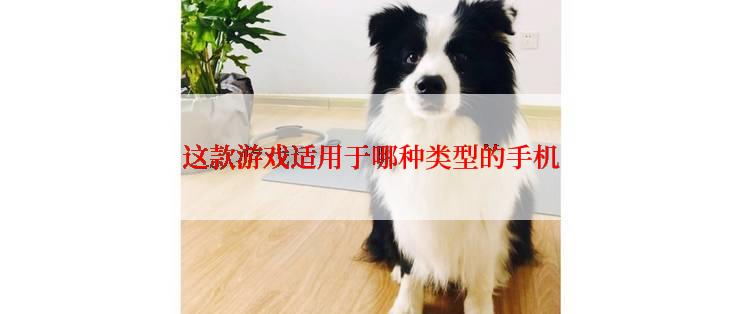 这款游戏适用于哪种类型的手机