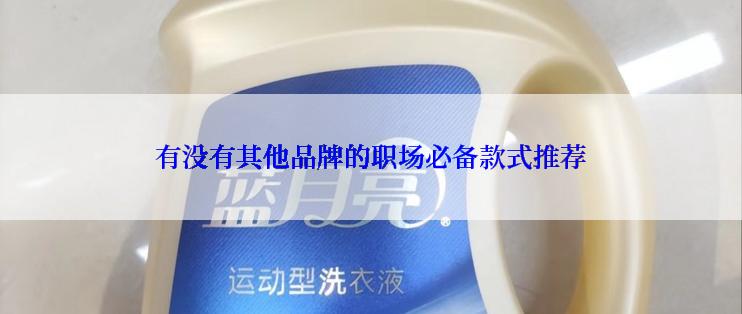有没有其他品牌的职场必备款式推荐