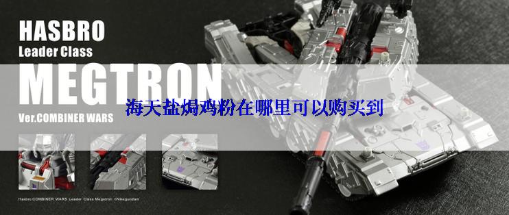 海天盐焗鸡粉在哪里可以购买到