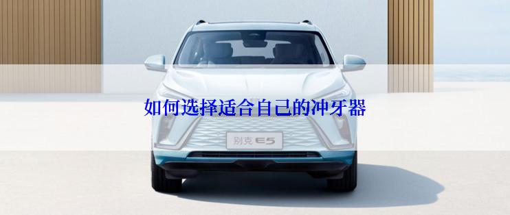 如何选择适合自己的冲牙器