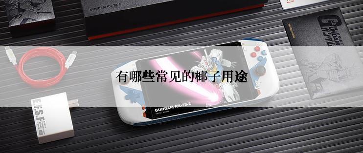 有哪些常见的椰子用途