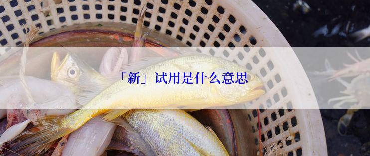 「新」试用是什么意思