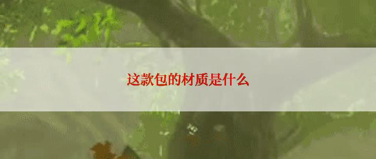 这款包的材质是什么
