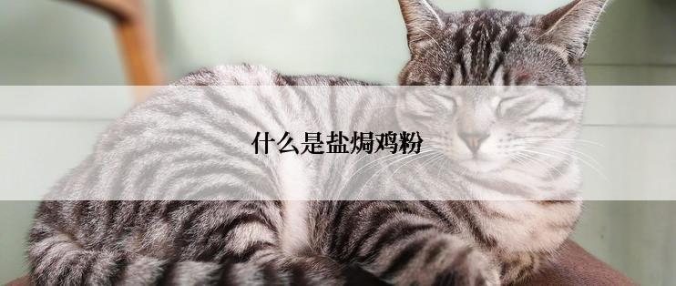 什么是盐焗鸡粉