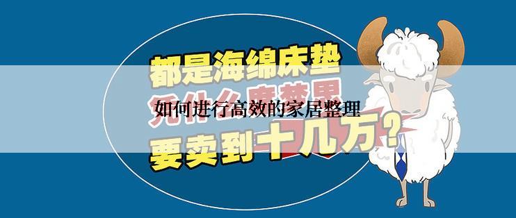 如何进行高效的家居整理