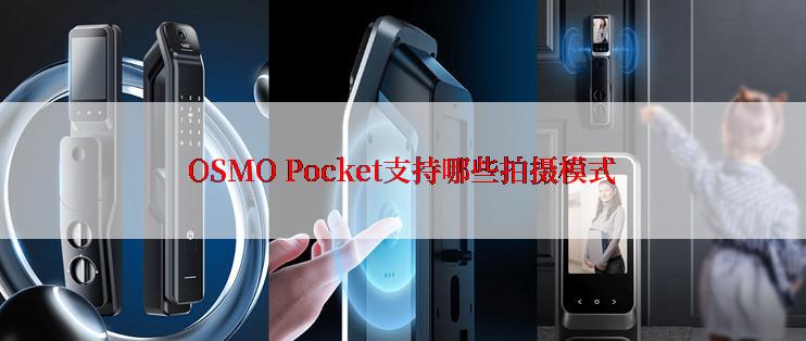 OSMO Pocket支持哪些拍摄模式