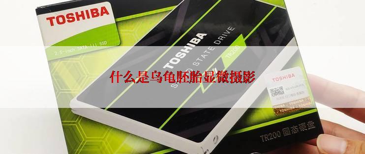 什么是乌龟胚胎显微摄影