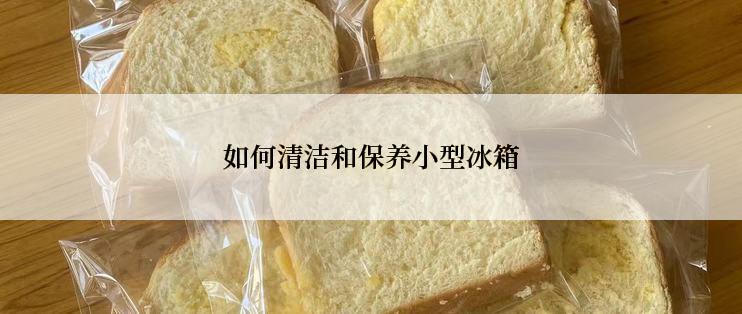 如何清洁和保养小型冰箱