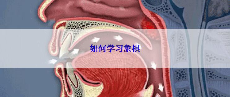 如何学习象棋