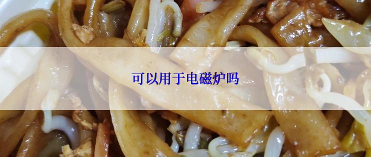 可以用于电磁炉吗