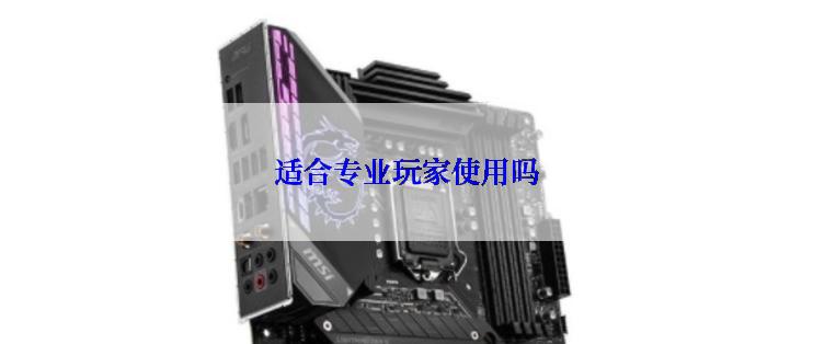 适合专业玩家使用吗