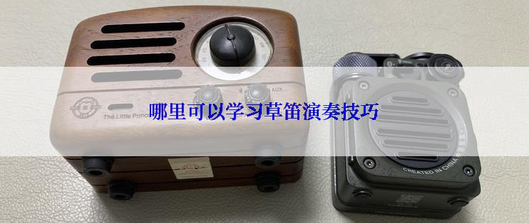 哪里可以学习草笛演奏技巧