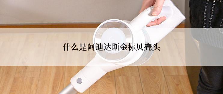 什么是阿迪达斯金标贝壳头