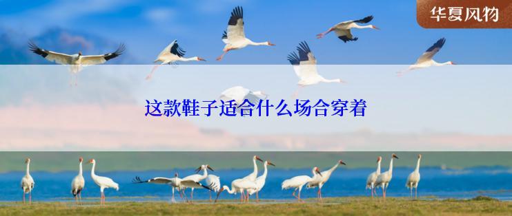 这款鞋子适合什么场合穿着