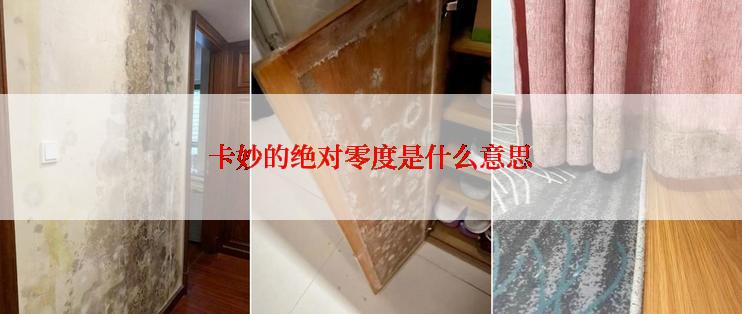 卡妙的绝对零度是什么意思