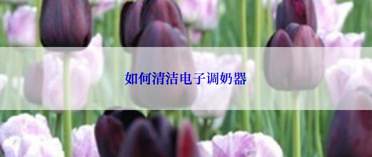 如何清洁电子调奶器