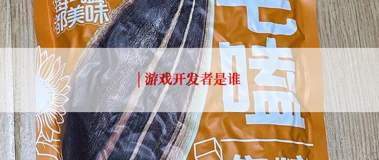 | 游戏开发者是谁