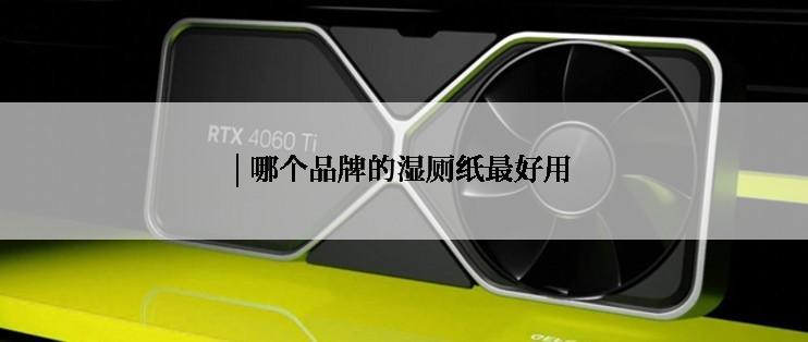 | 哪个品牌的湿厕纸最好用