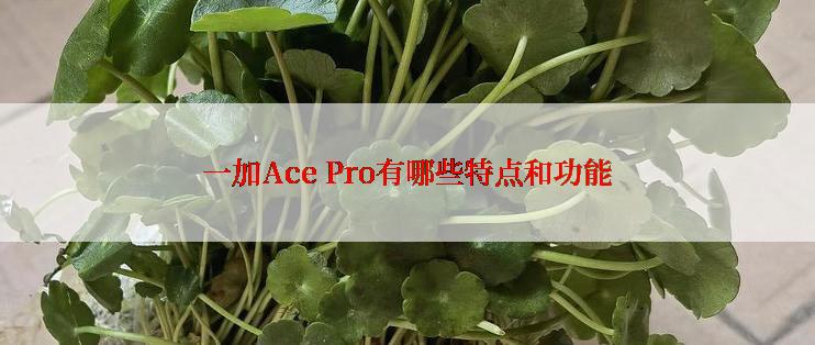 一加Ace Pro有哪些特点和功能