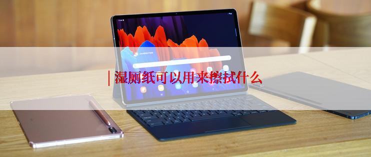 | 湿厕纸可以用来擦拭什么