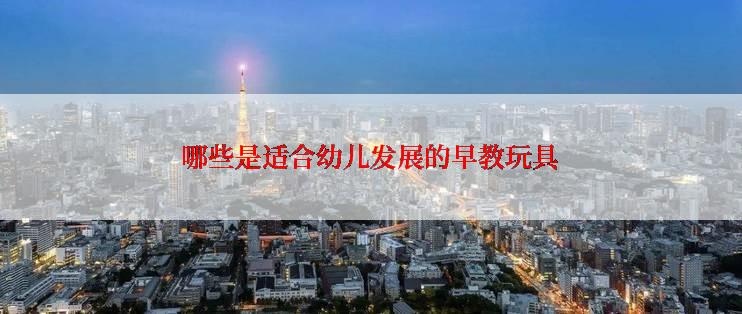 哪些是适合幼儿发展的早教玩具