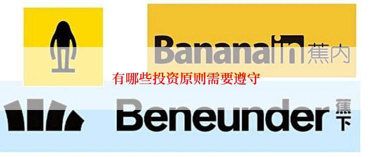 有哪些投资原则需要遵守