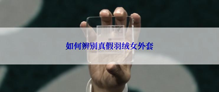 如何辨别真假羽绒女外套