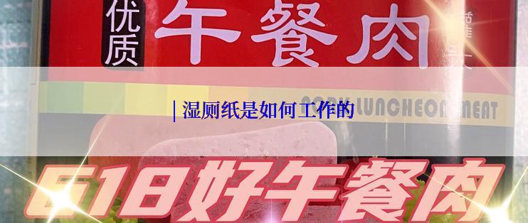 | 湿厕纸是如何工作的