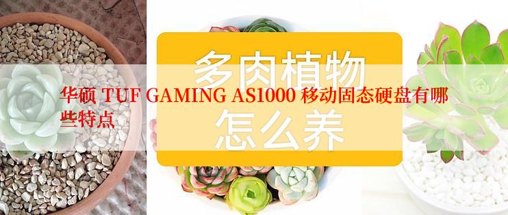 华硕 TUF GAMING AS1000 移动固态硬盘有哪些特点