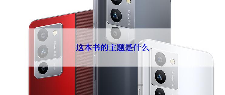 这本书的主题是什么