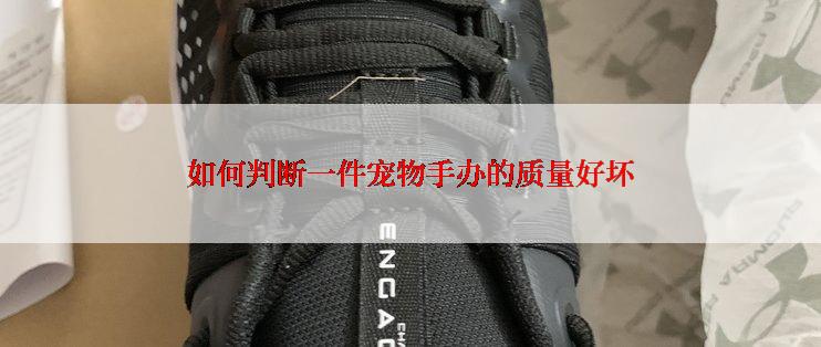 如何判断一件宠物手办的质量好坏