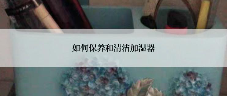 如何保养和清洁加湿器