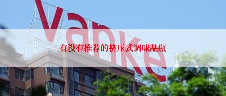 有没有推荐的挤压式调味品瓶