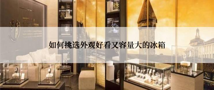 如何挑选外观好看又容量大的冰箱