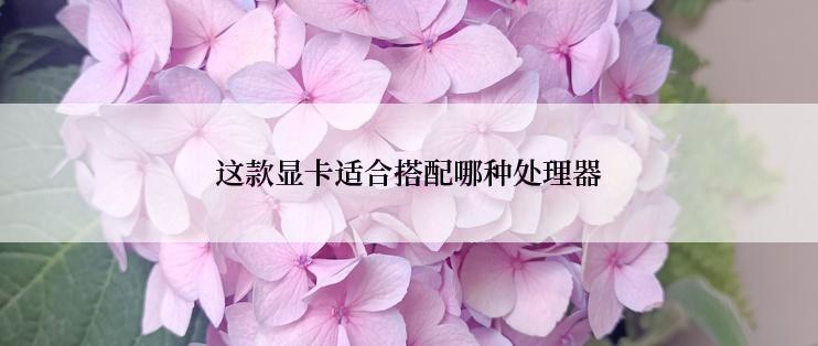 这款显卡适合搭配哪种处理器