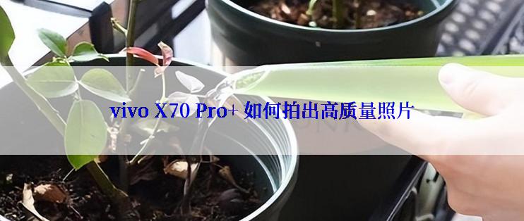 vivo X70 Pro+ 如何拍出高质量照片
