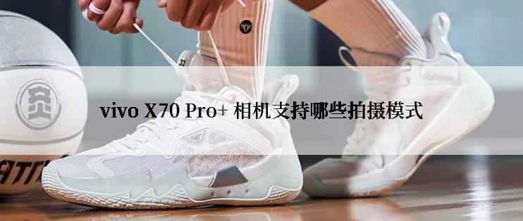 vivo X70 Pro+ 相机支持哪些拍摄模式