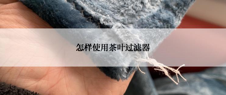 怎样使用茶叶过滤器