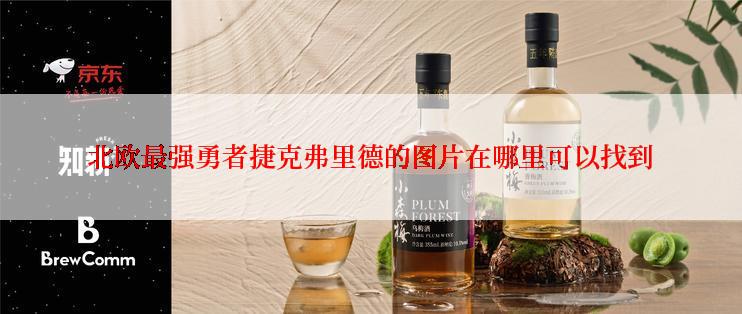 北欧最强勇者捷克弗里德的图片在哪里可以找到