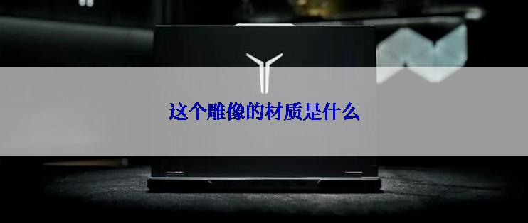 这个雕像的材质是什么