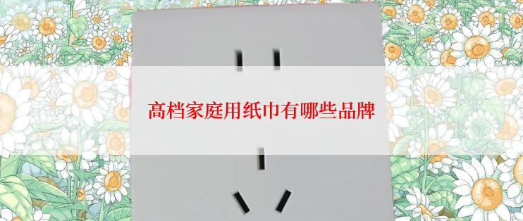 高档家庭用纸巾有哪些品牌