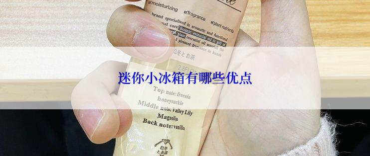 迷你小冰箱有哪些优点