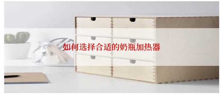 如何选择合适的奶瓶加热器