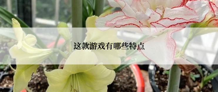 这款游戏有哪些特点
