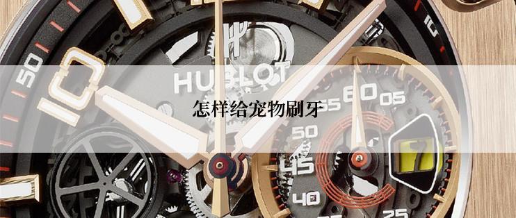 怎样给宠物刷牙