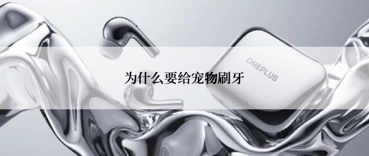 为什么要给宠物刷牙