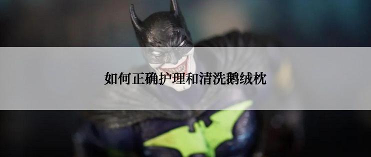 如何正确护理和清洗鹅绒枕